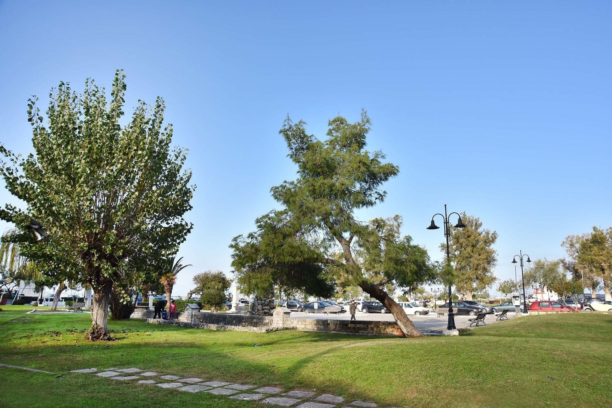 Ionion Star Hotel Lefkada City Bagian luar foto