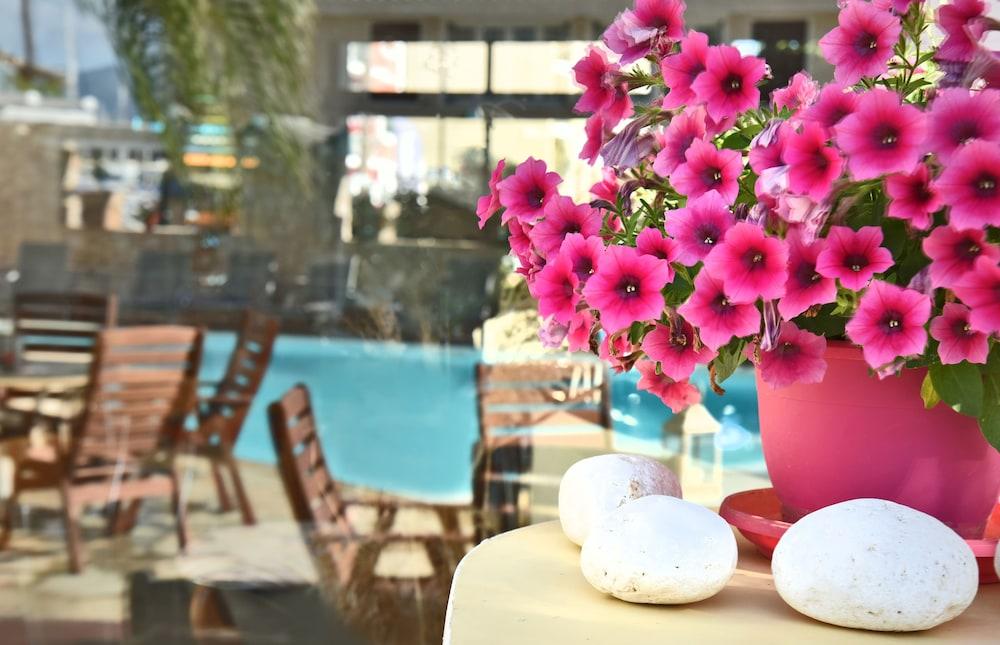 Ionion Star Hotel Lefkada City Bagian luar foto